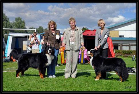 Dragongrdens Kennel
